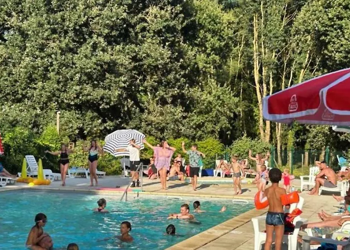 Mobil-home Spacieux Avec Terrasse - 6 Personnes - Api-1-52-1216 Campingplatz